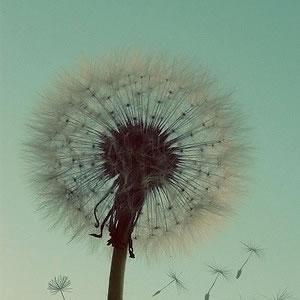 父亲节必看电影39部